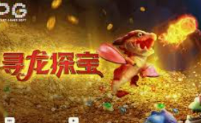 赏金国际vip登录入口客户端